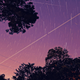Illustration for article titled My first attempt at star trails